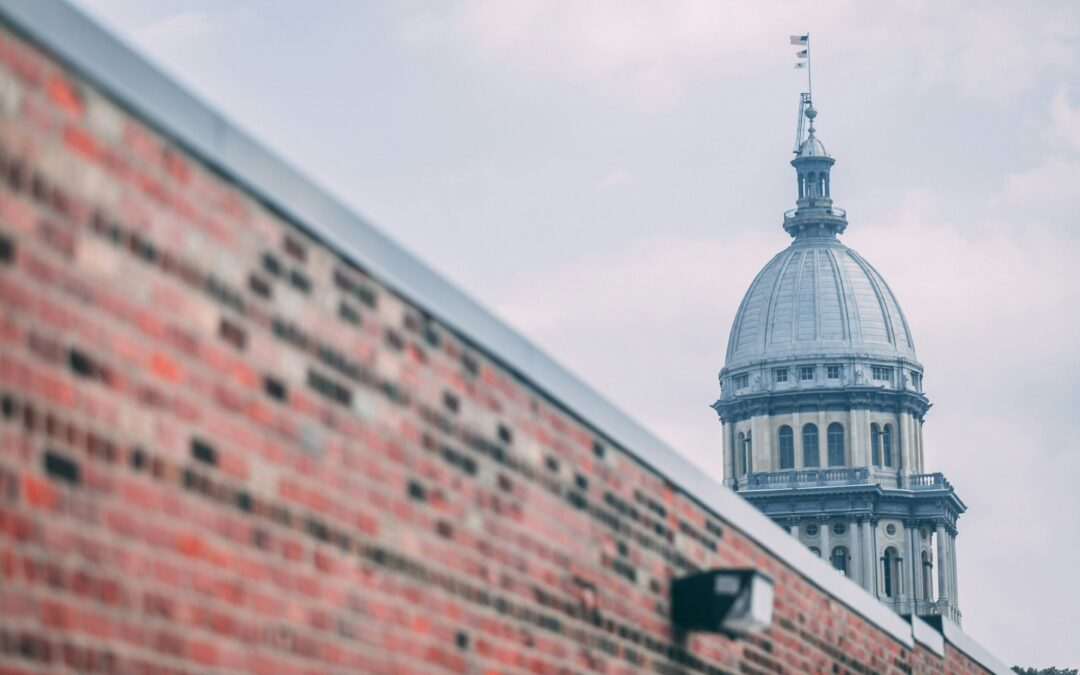 2024 Illinois Primary Election Summary